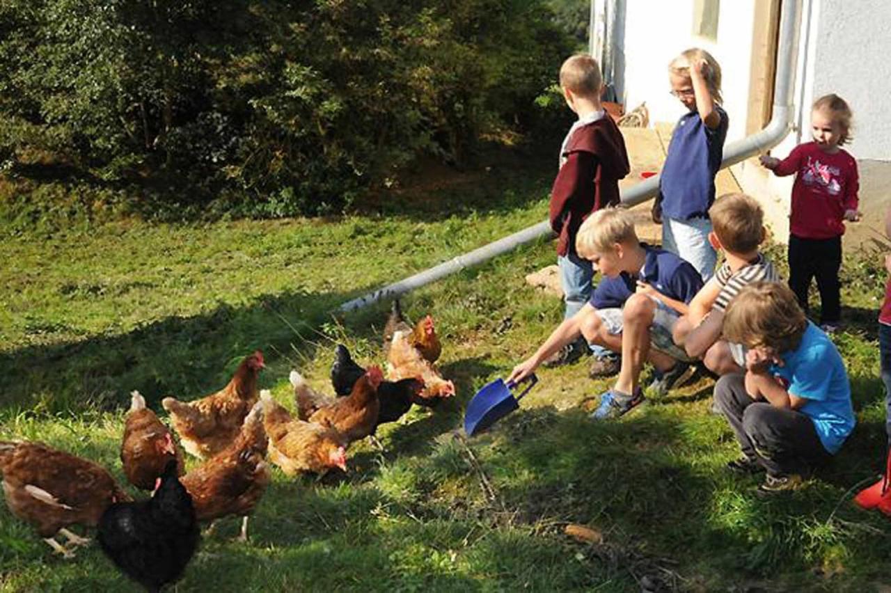 Exenbacher Hof Traumbauernhaus S'Haisl Arnbruck Luaran gambar